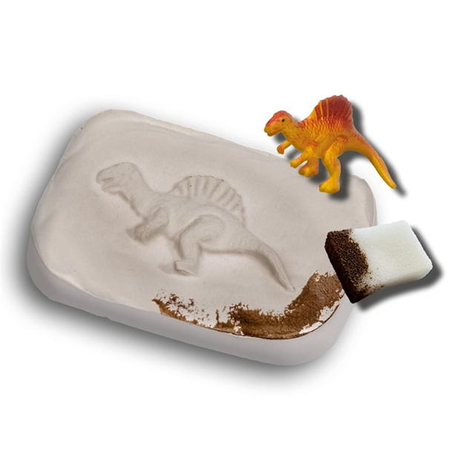 Dino Fossils