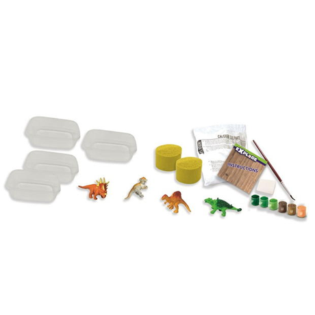 Dino Fossils