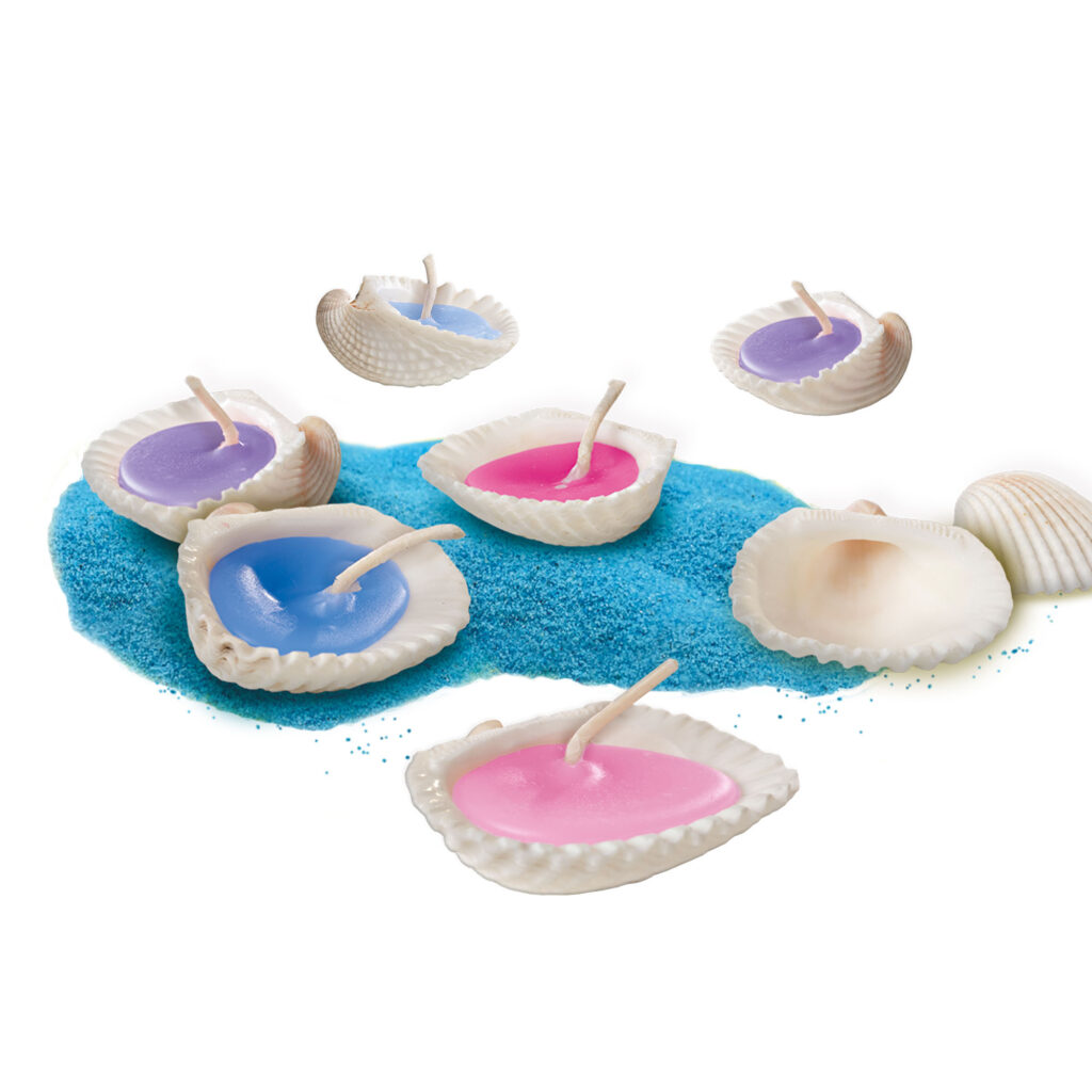 Shell Candles - Inspired by Nature