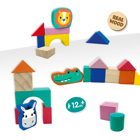 Wooden Building Blocks