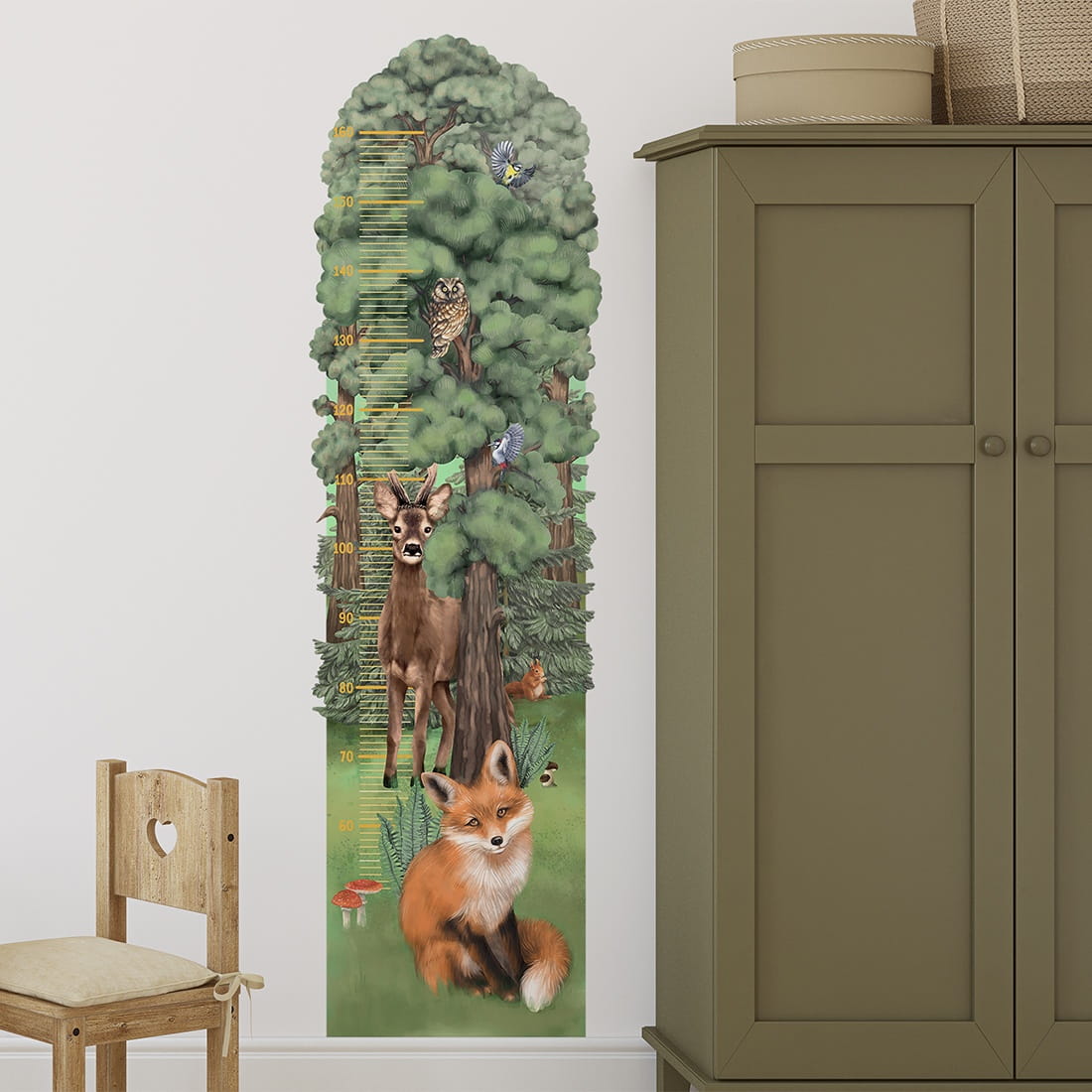 Height Measure | Forest