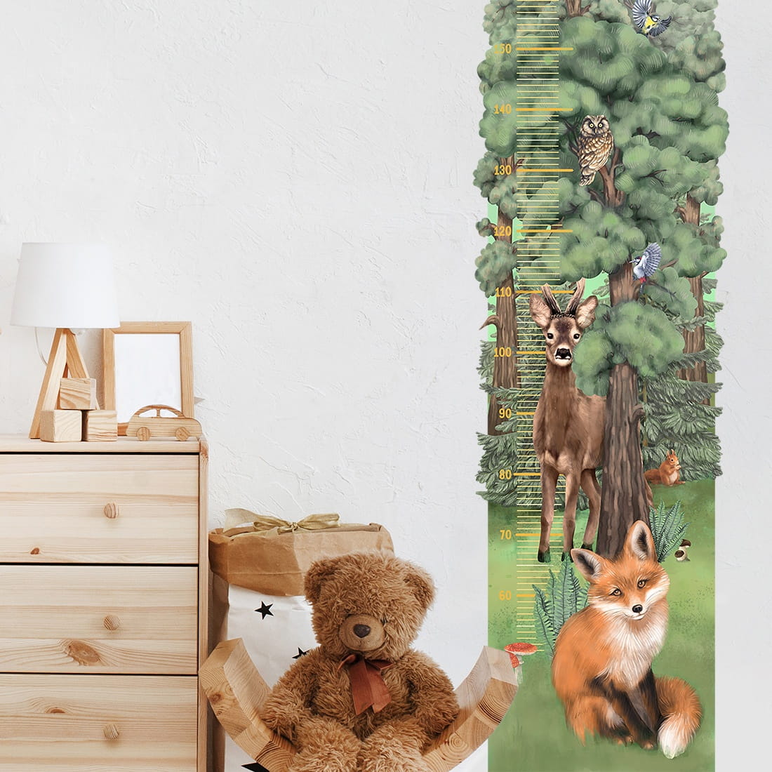 Height Measure | Forest