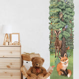 Height Measure | Forest