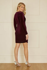 Mela Plum Velvet Fitted Long Sleeve Mini Dress