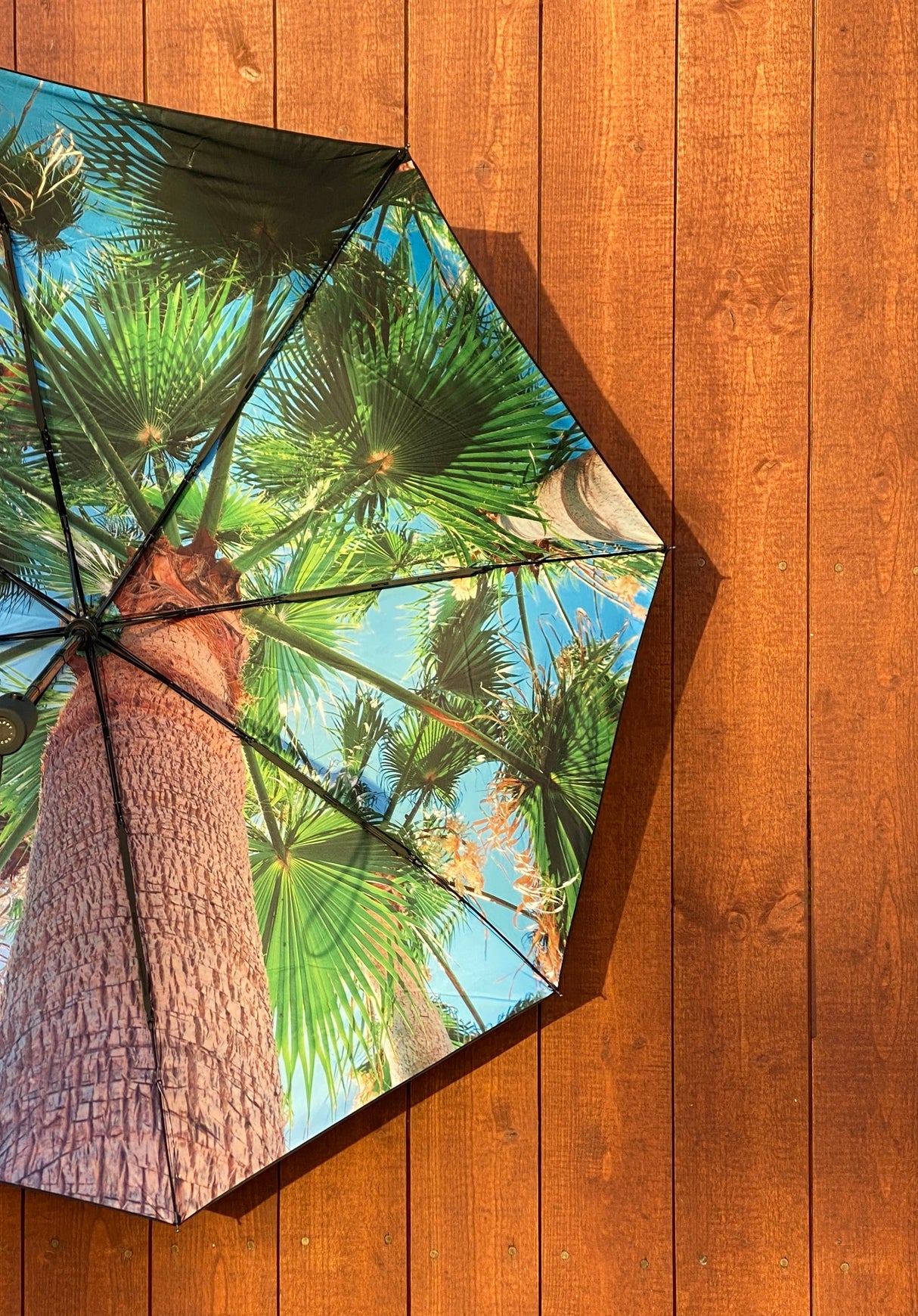 Paradise Umbrella – Windproof & UPF50+