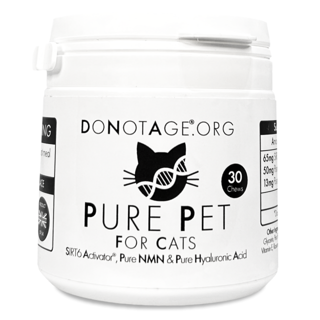 Pure Pet for Cats