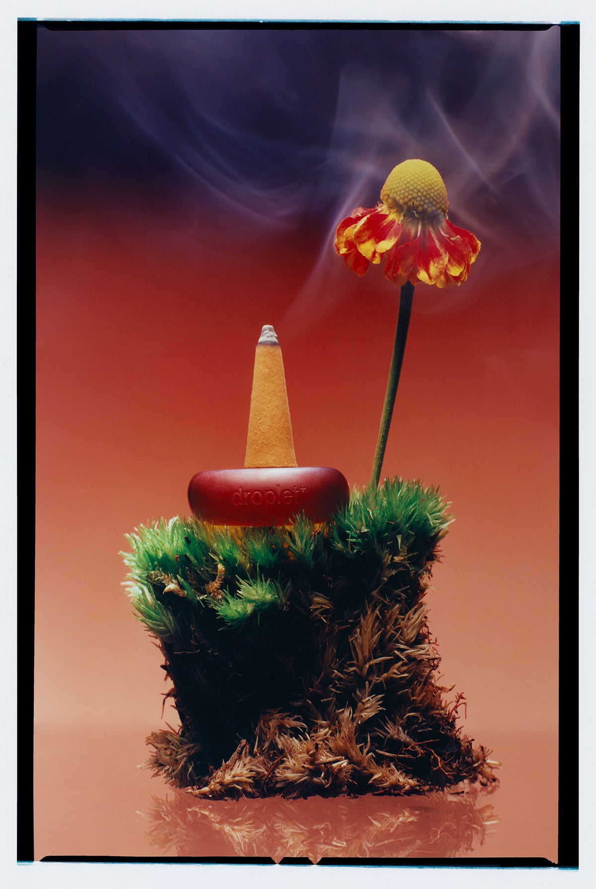 ripple focus-droplet-pack-cone