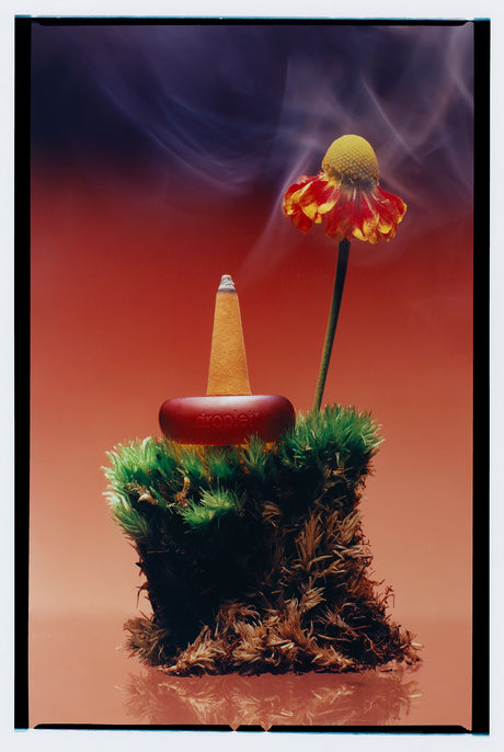 ripple focus-droplet-pack-cone