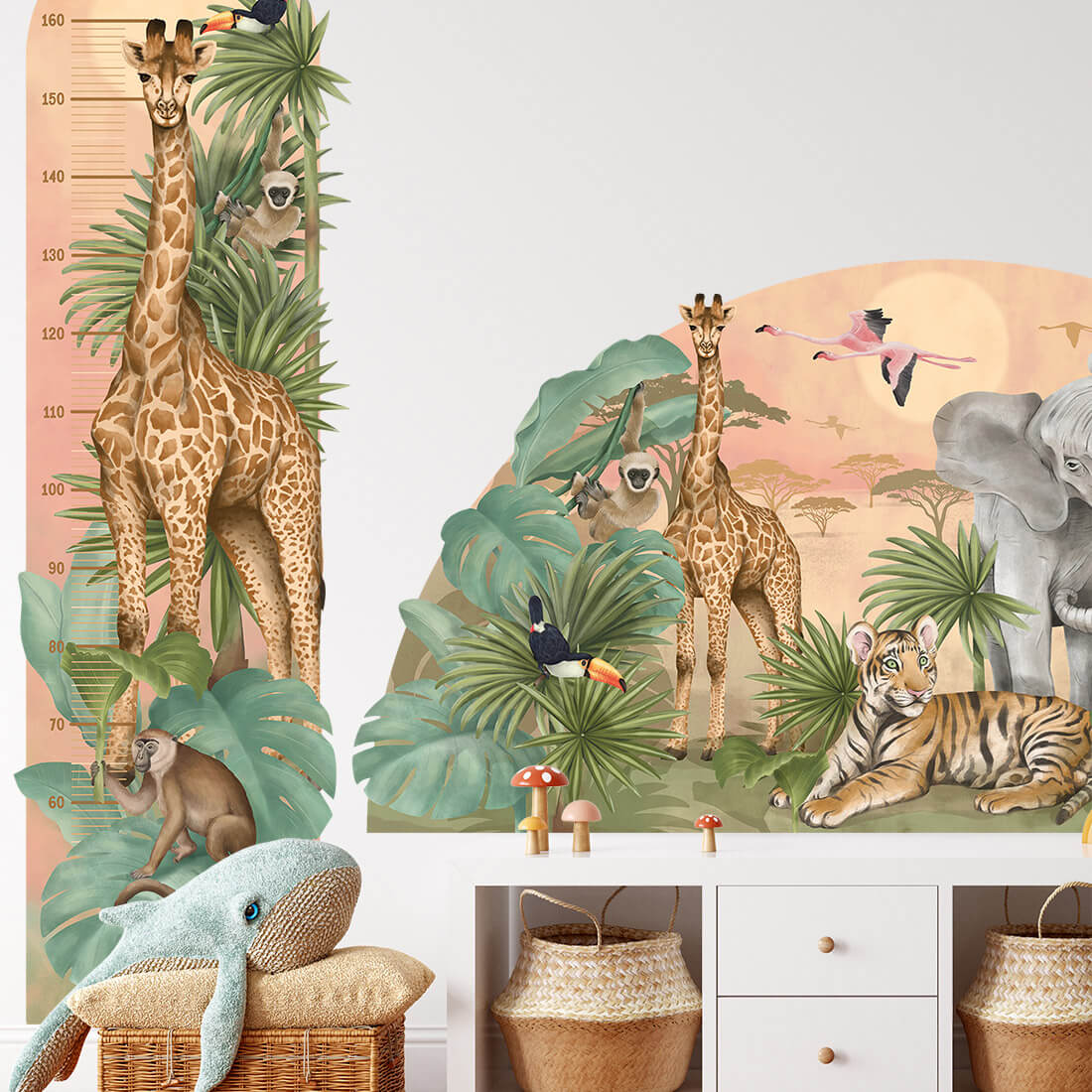 Height Measure | Safari