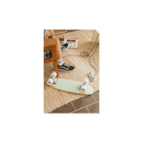 Skateboard Banwood Mint