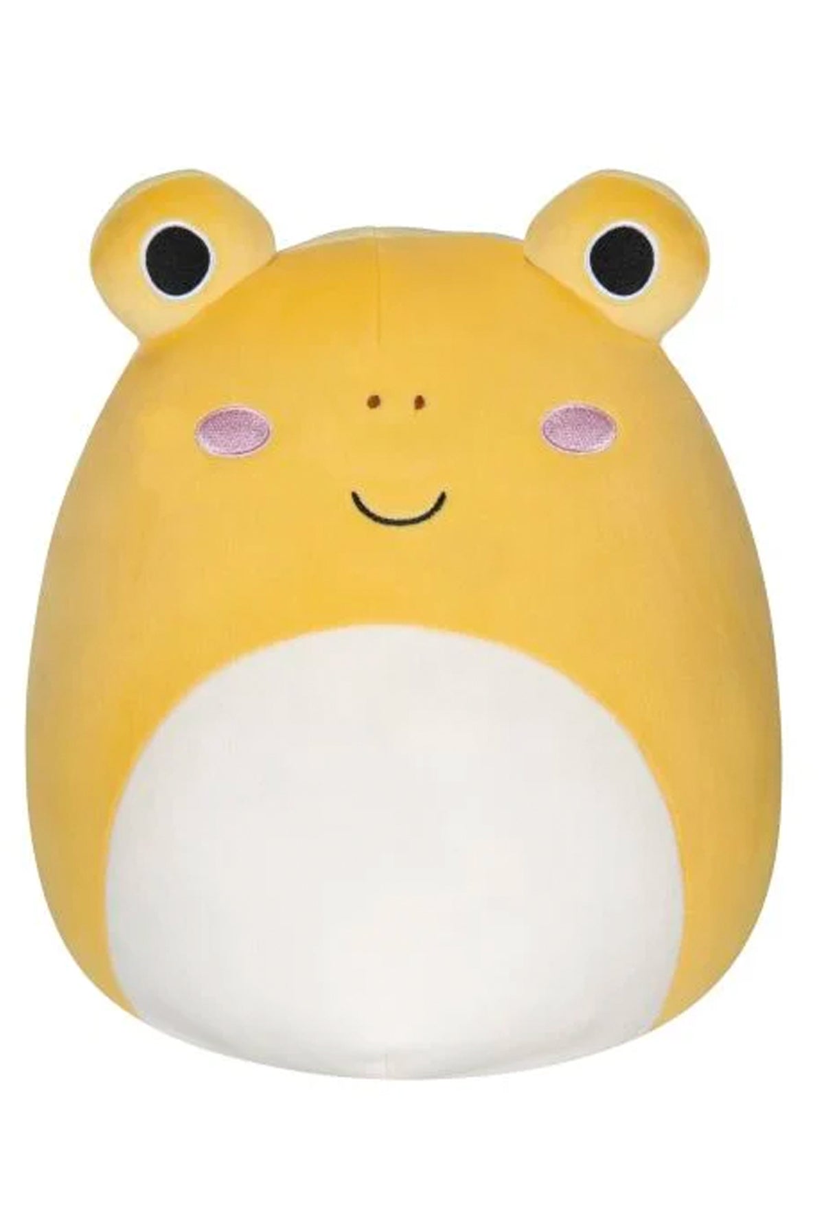 Leigh the Yellow Toad