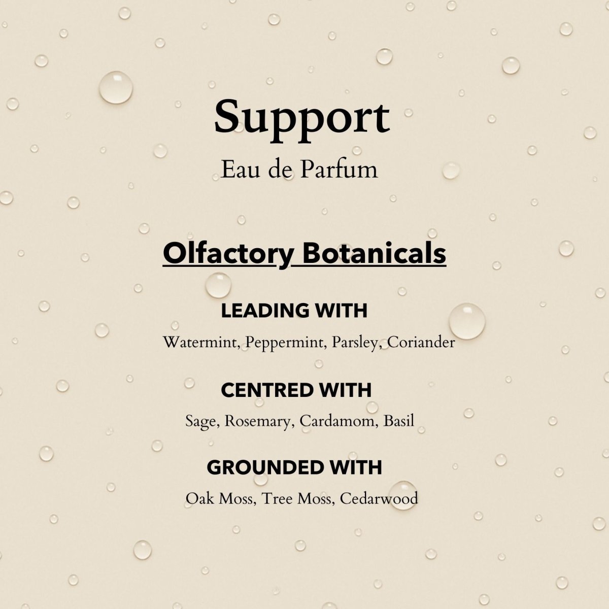 Support Functional Parfum