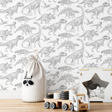 Wallpaper | Dinosaurs White