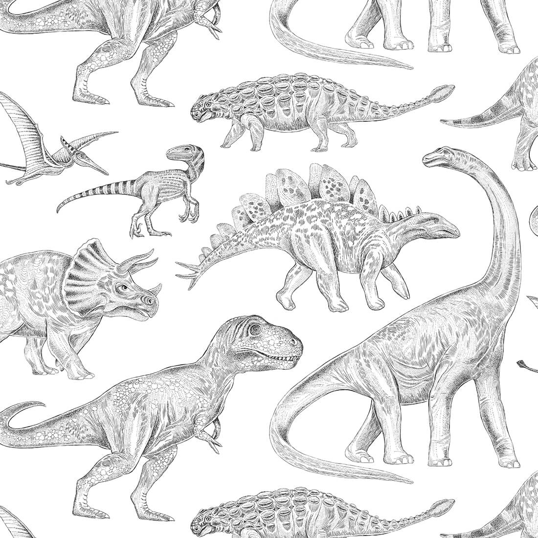 Wallpaper | Dinosaurs White