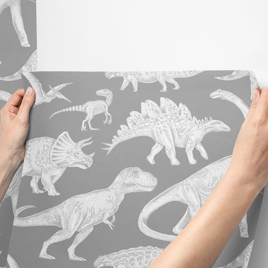 Wallpaper | Dinosaurs Grey