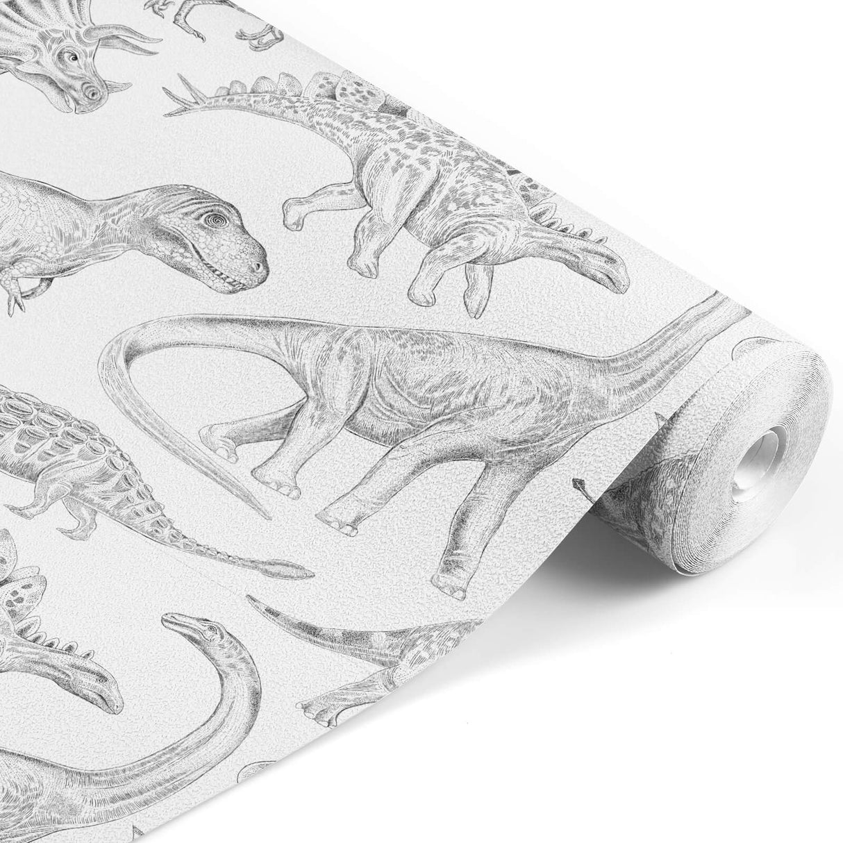 Wallpaper | Dinosaurs White