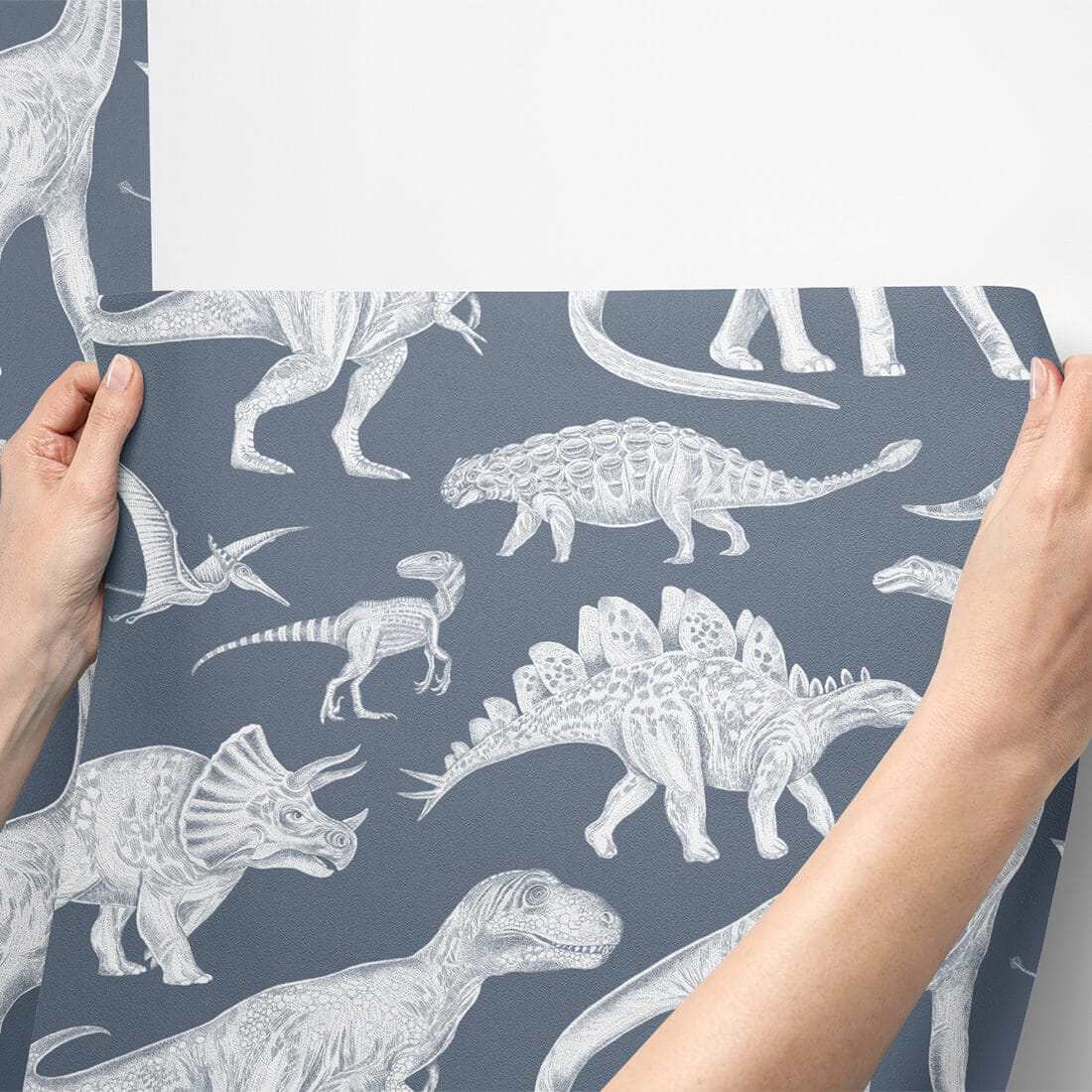 Wallpaper | Dinosaurs Blue