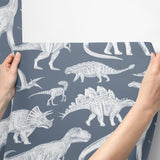 Wallpaper | Dinosaurs Blue