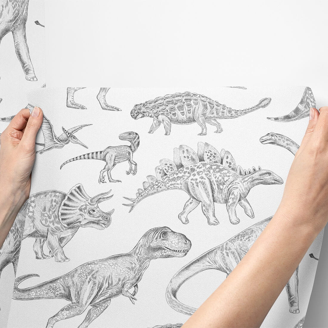 Wallpaper | Dinosaurs White