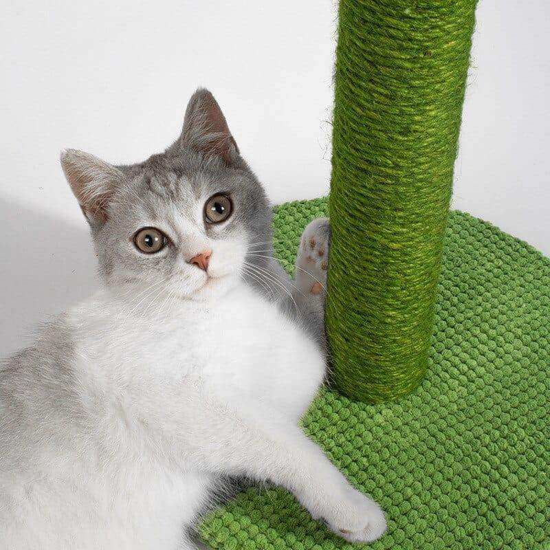 The Cactus Cat Scratching Post