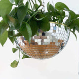 The Disco Planter