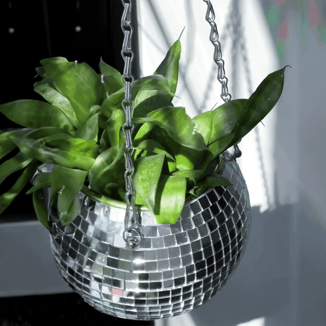 The Disco Planter