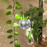 The Disco Planter
