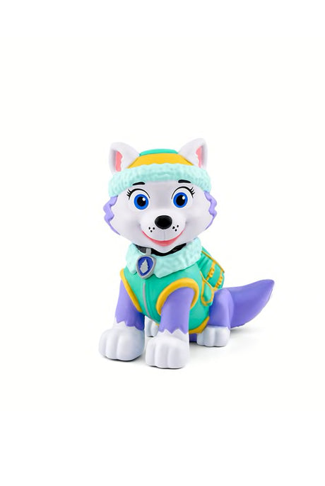 Everest Paw Patrol