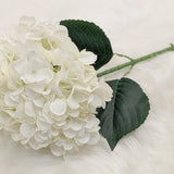 Cream Giant Pom Pom Hydrangea Single Stem Flower