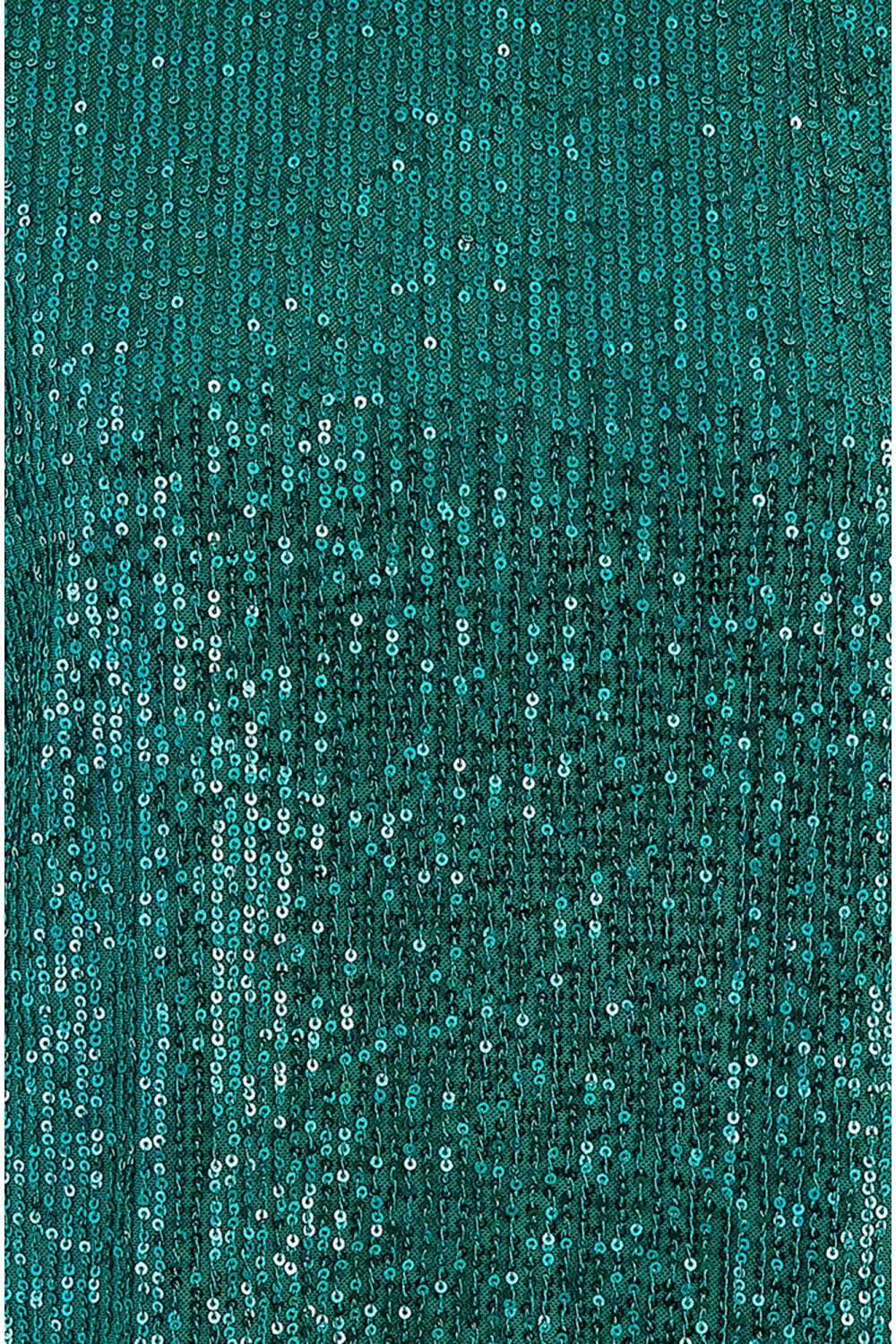 Yumi Green Sequin Top With Sheer Sleeves