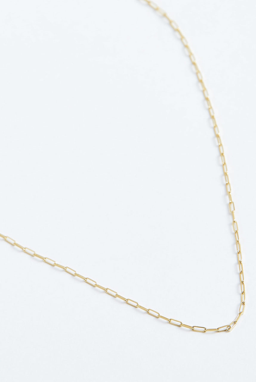 Light Chain