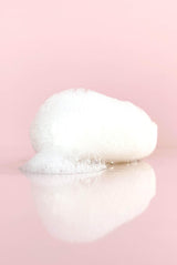 Konjac Sponge