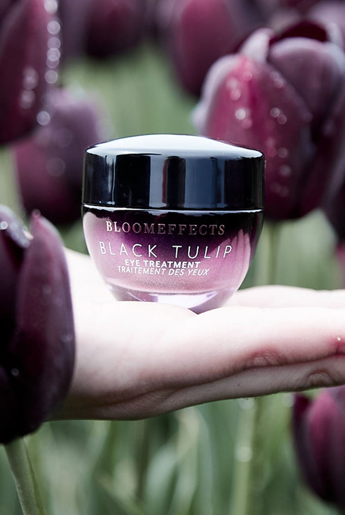 BLACK TULIP EYE TREATMENT