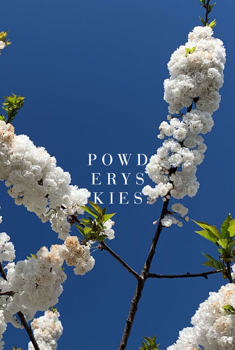 Saint Fragrance Powdery Skies Candle